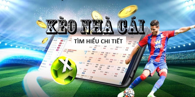 TOP nhà cái bắn cá đổi thưởng uy tín nhất hiện nay f8bet